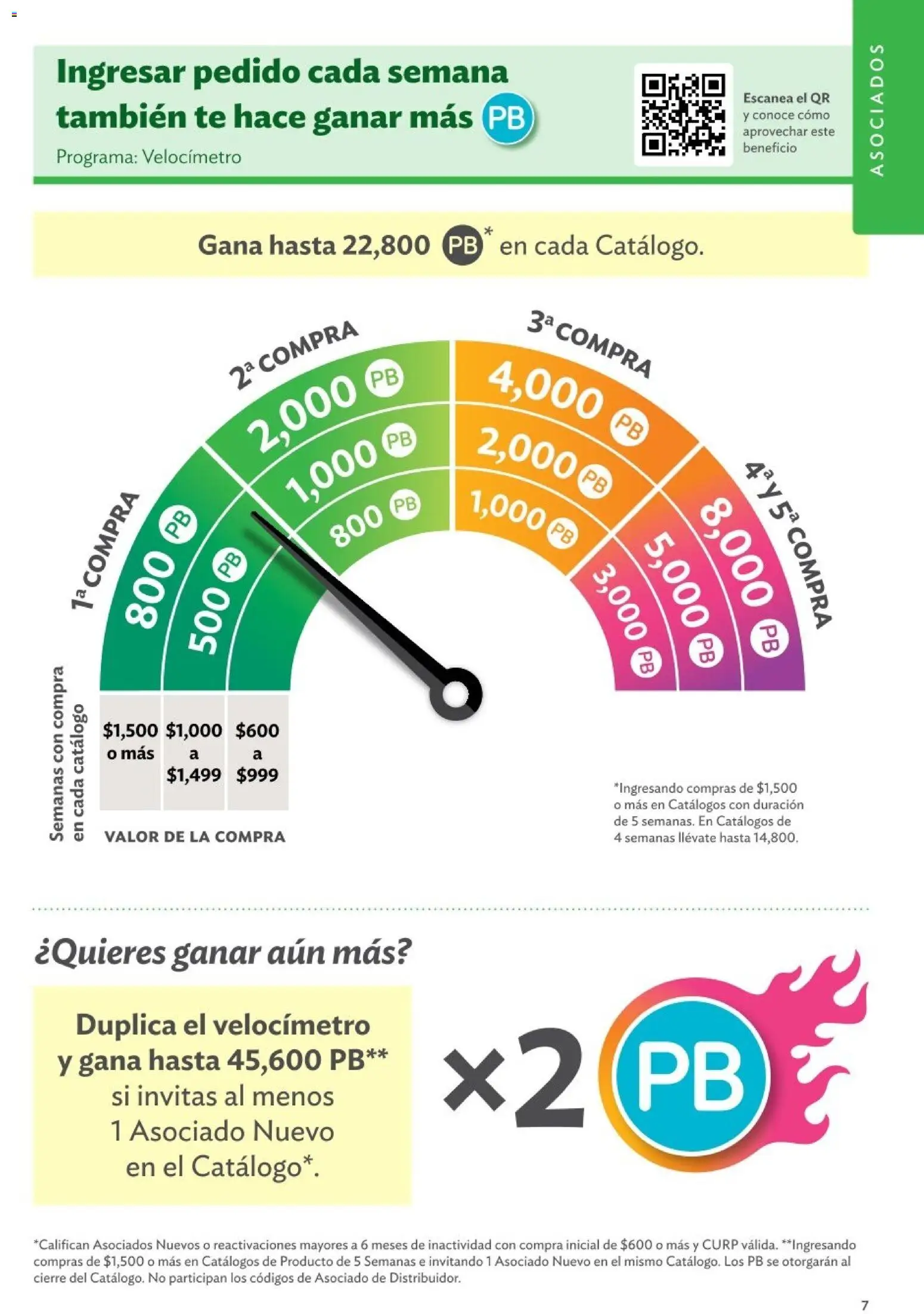 Nuevas ofertas de Betterware válidas en toda la República Mexicana desde el 01.01.2026. ¡Encuentra las mejores ofertas en Betterware catálogo Oportunidades! | Página: 7 | Productos: Té