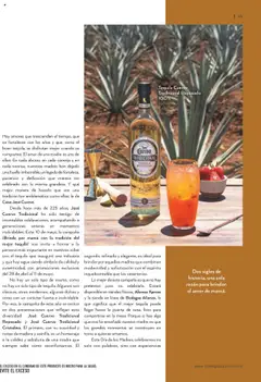 Nuevas ofertas de Bodegas Alianza válidas en toda la República Mexicana desde el 01.04.2025. ¡Encuentra las mejores ofertas en Bodegas Alianza catálogo Cava Morada! | Página: 37 | Productos: Dulces, Tequila, Torno, Campana