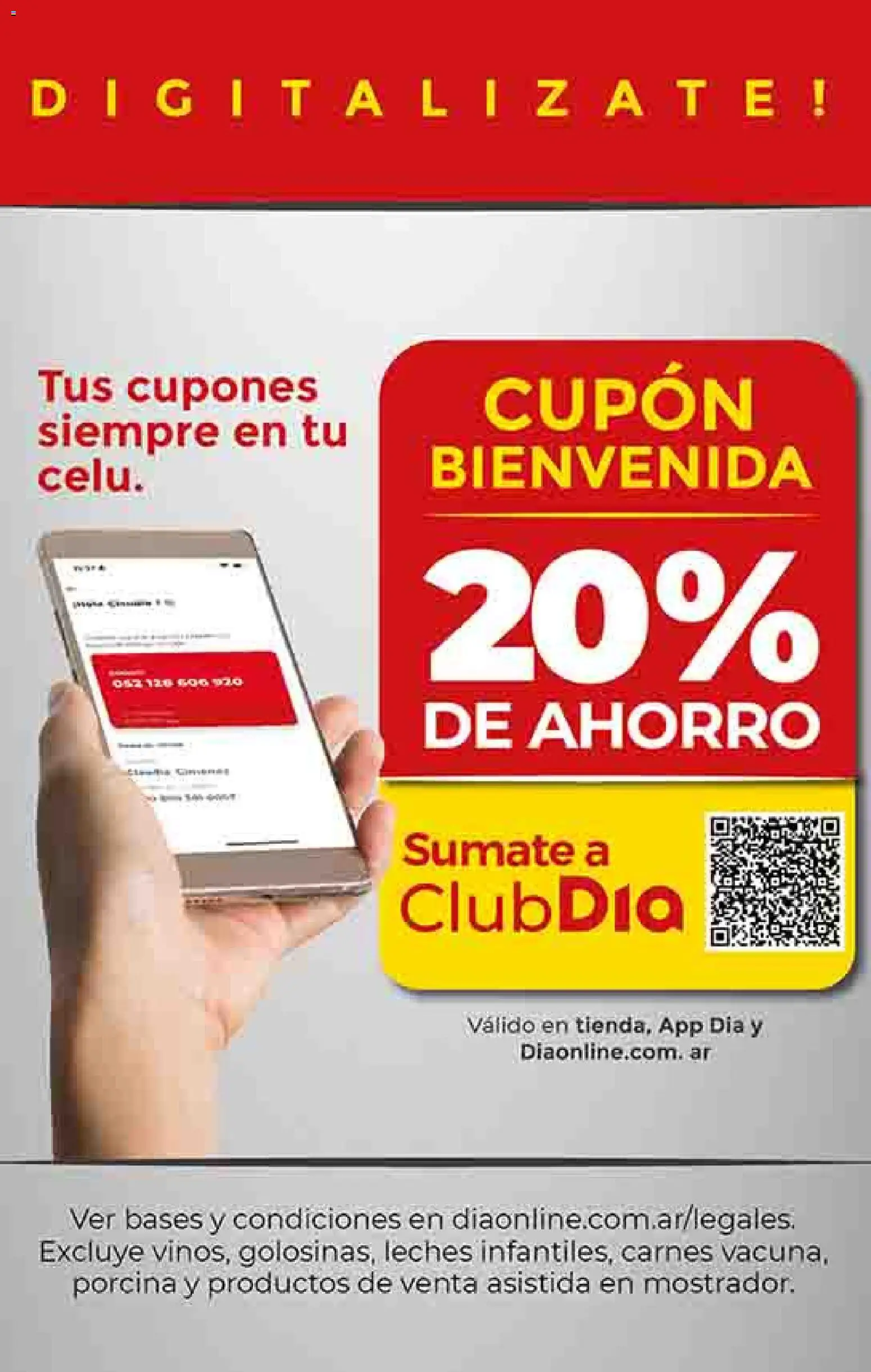 Dia - Ofertas - Salta y Jujuy │ válido desde el 04.03.2026 | Página: 25
