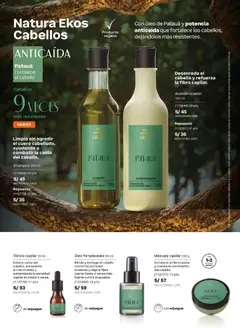Vista previa de folleto Natura catálogo  - Ciclo 6 de la Natura válido desde 31.03.2026 | Página: 143 | Productos: Máscara, Shampoo, Acondicionador