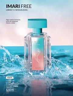 Vista previa de folleto Avon - Ciclo 18 de la Avon válido desde 15.11.2025 | Página: 97 | Productos: Aceite, EAU de Toilette