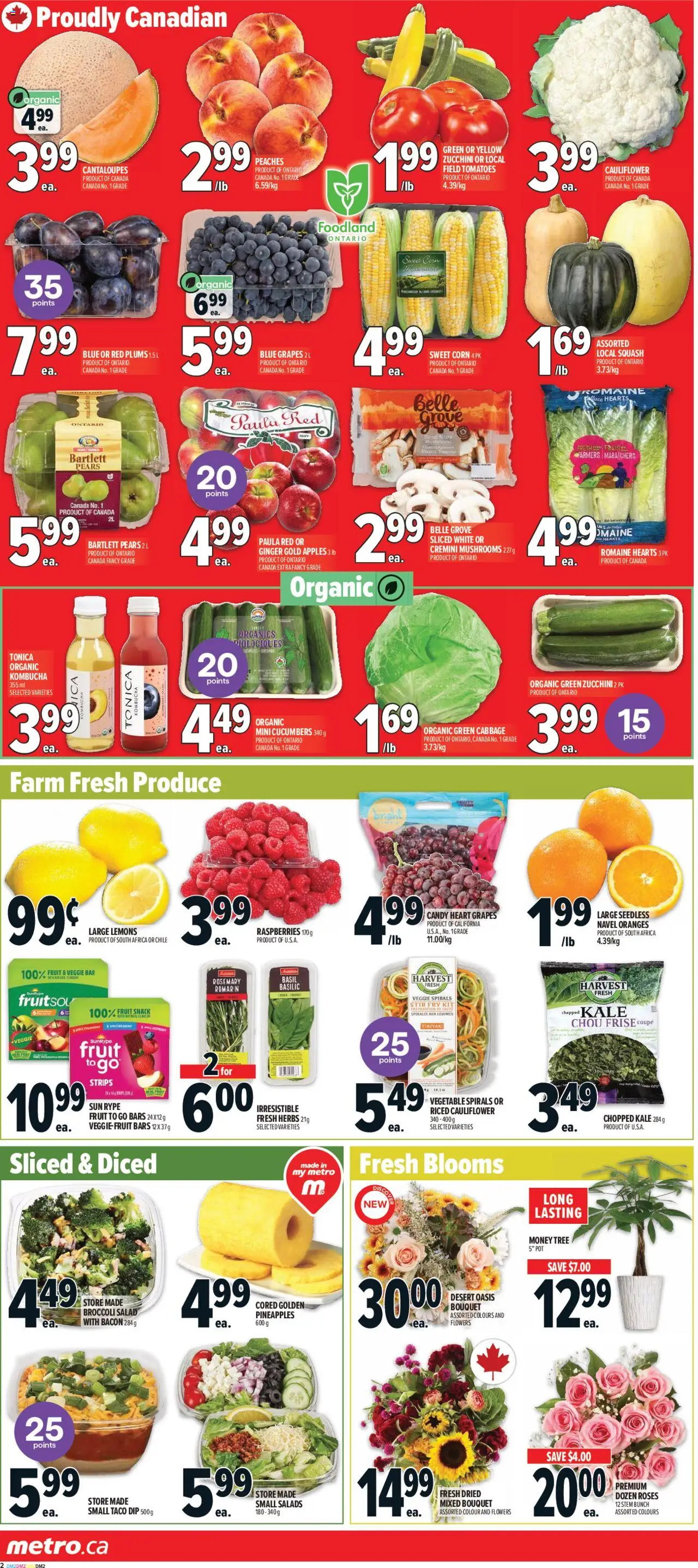 Metro flyer valid from 04.09.2025 | Page: 6 | Products: Cucumbers, Salad, Apples, Tomatoes