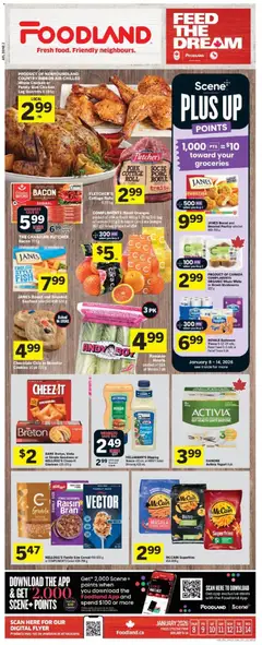 Preview of Foodland flyer - NL from shop Foodland valid from 08.01.2026