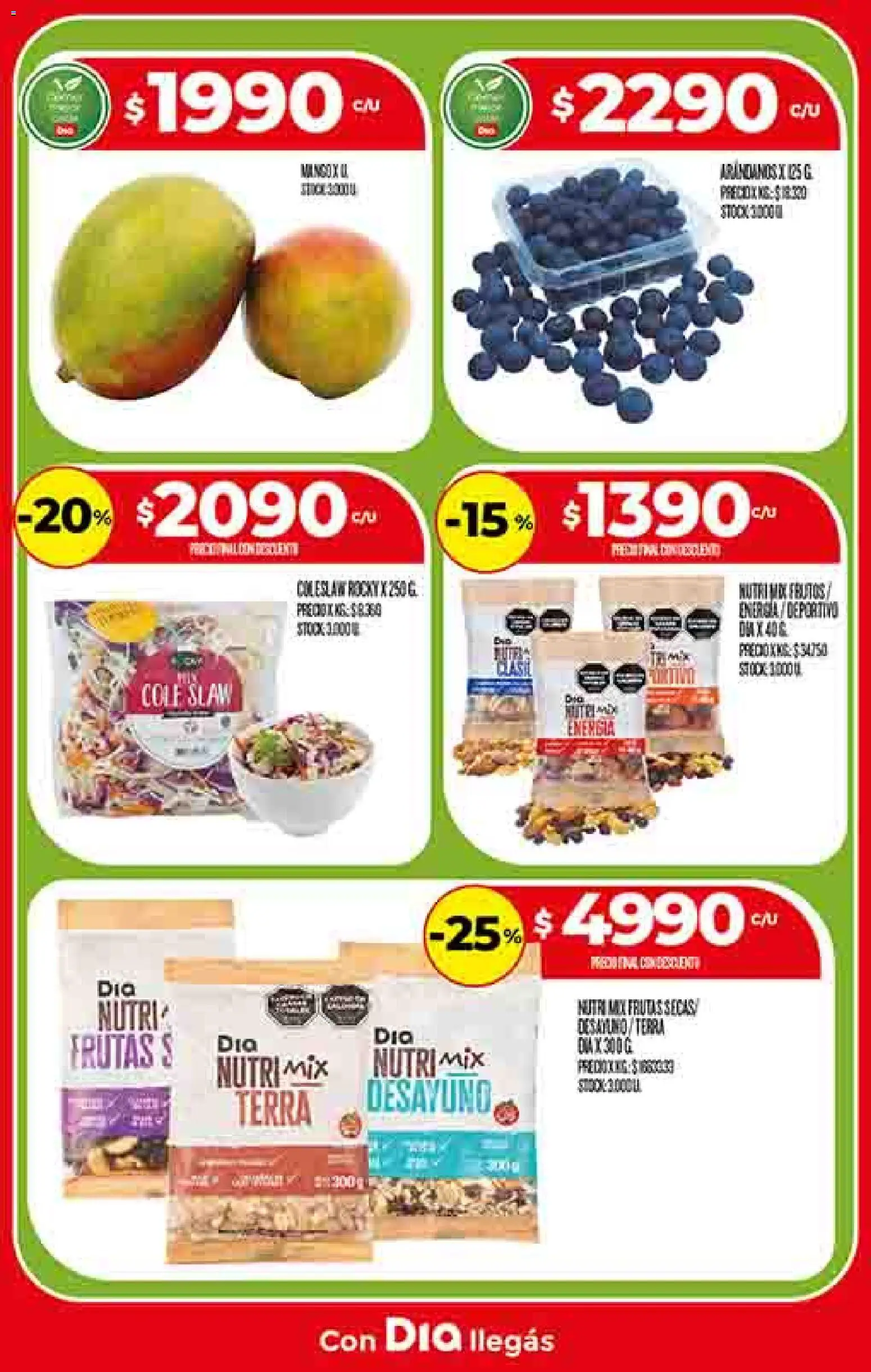 Supermercado DIA Ofertas │ válido desde el 29.10.2025 | Página: 10 | Productos: Arándanos