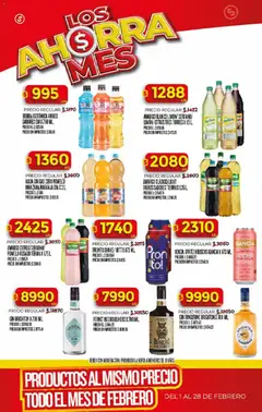 Vista previa Dia - Ofertas - Los Ahorra mes válido desde el 01.02.2026 | Página: 14 | Productos: Gin, Fernet, Agua, Pomelo
