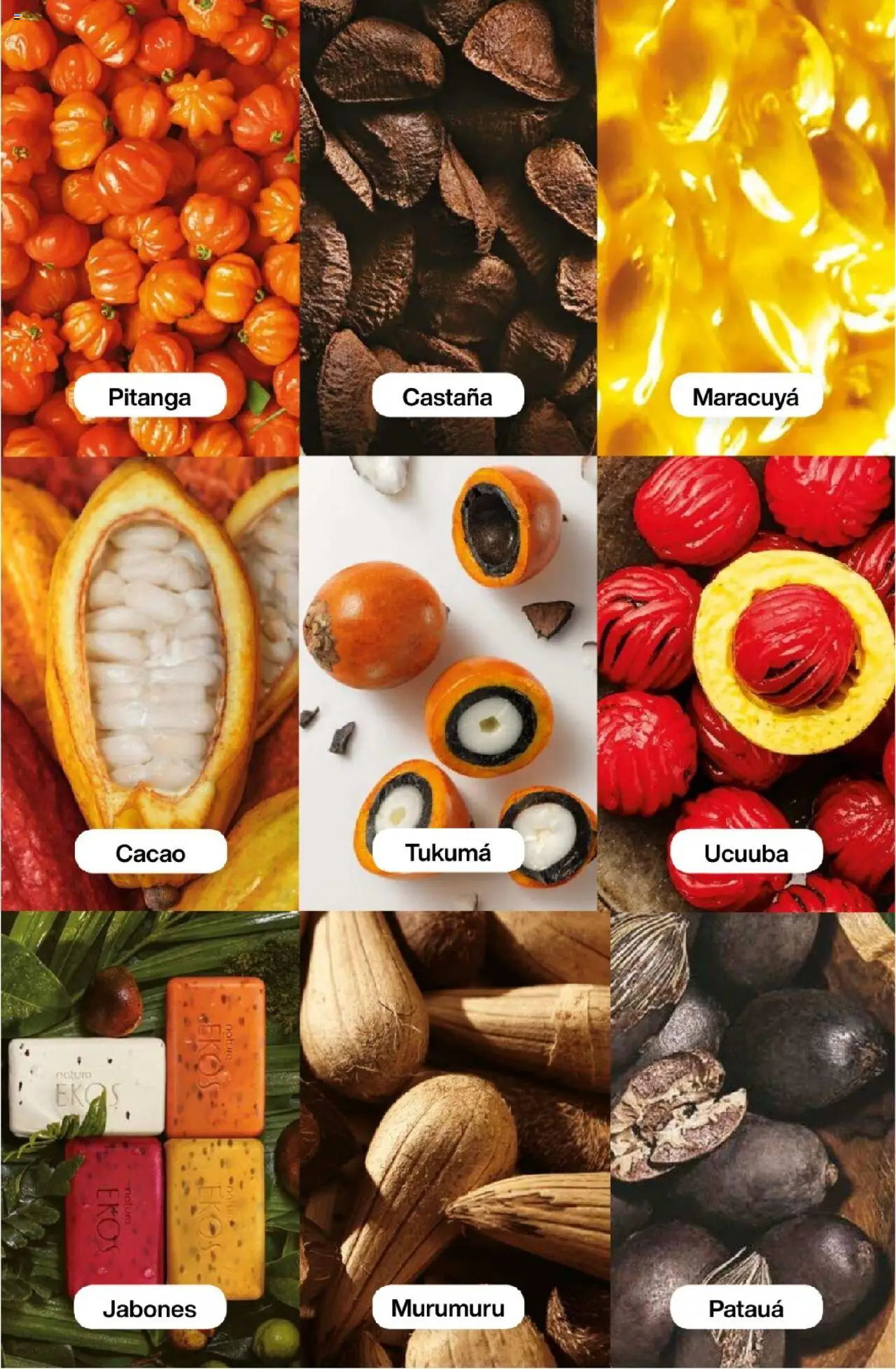 Catálogo Natura Ciclo 13 │ válido desde el 11.09.2025 | Página: 207 | Productos: Cacao