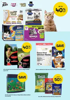 Preview of Catalogue Big W - valid from 16.10.2025 | Page: 3