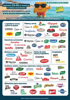 Vista previa Vea ofertas válido desde el 30.01.2026 | Página: 10