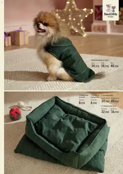 Vista previa de El Corte Inglés catálogo Mascota , nuevo folleto de la tienda, válido en México a partir del 01.11.2025 | Página: 3