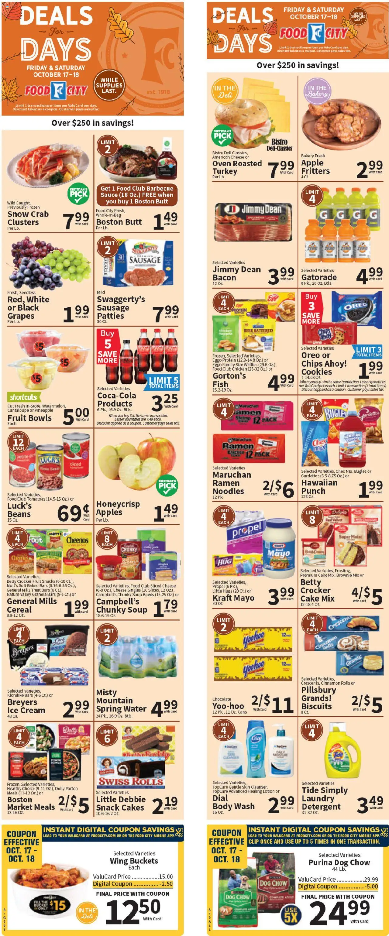 Food City Grand Opening - valid from 15.10.2025 | Page: 3 | Products: Detergent, Body Wash, Sauce, Sausage