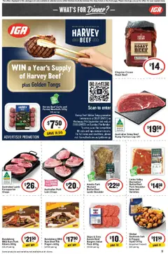 Preview of IGA Catalogue WA - valid from 15.10.2025 | Page: 14