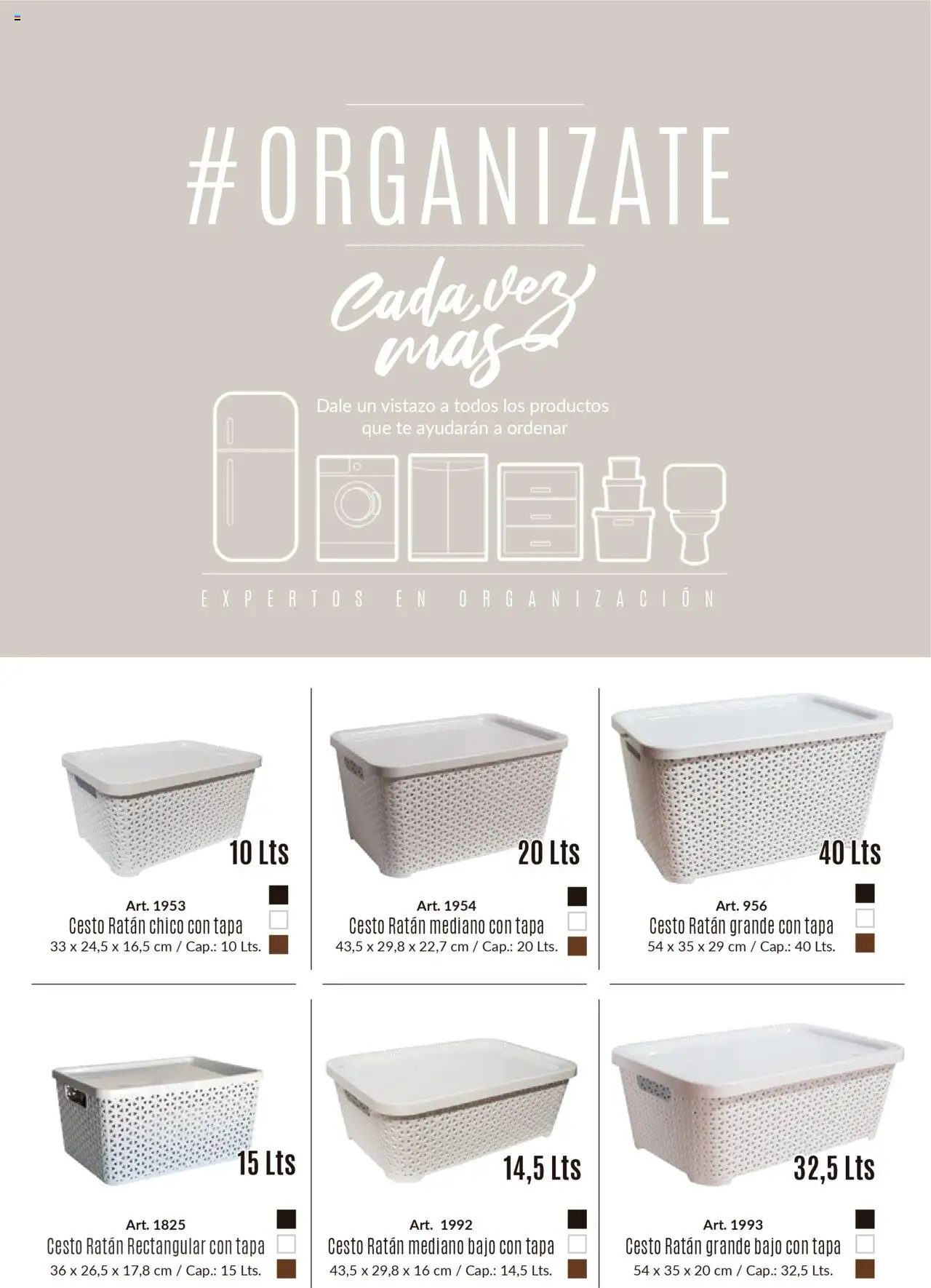 Colombraro - Catálogo Organizate │ válido desde el 12.09.2025 | Página: 1 | Productos: Té