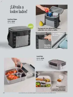 Vista previa de Vianney - Catálogo - Biasi, nuevo folleto de la tienda, válido en México a partir del 05.09.2025 | Página: 48 | Productos: Contenedor