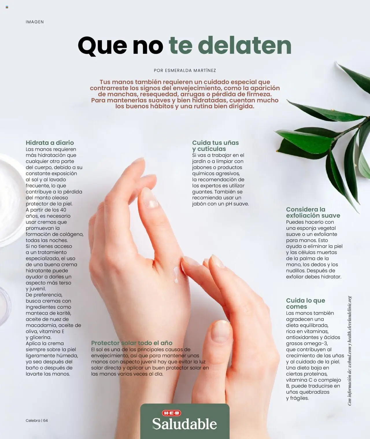 Nuevas ofertas de H-E-B válidas en toda la República Mexicana desde el 11.09.2025. ¡Encuentra las mejores ofertas en H-E-B - Revista Septiembre! | Página: 64 | Productos: Aceite, Té, Baño, Sobre