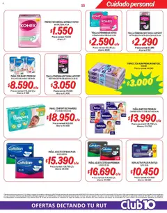 Mayorista 10 Ofertas │ válido desde el 17.08.2025 | Página: 15