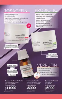Vista previa Gigot catálogo válido desde el 01.11.2025 | Página: 74 | Productos: Pincel, Crema