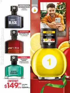 Vista previa de Fuller campaña 16 2025, nuevo folleto de la tienda, válido en México a partir del 12.11.2025 | Página: 30