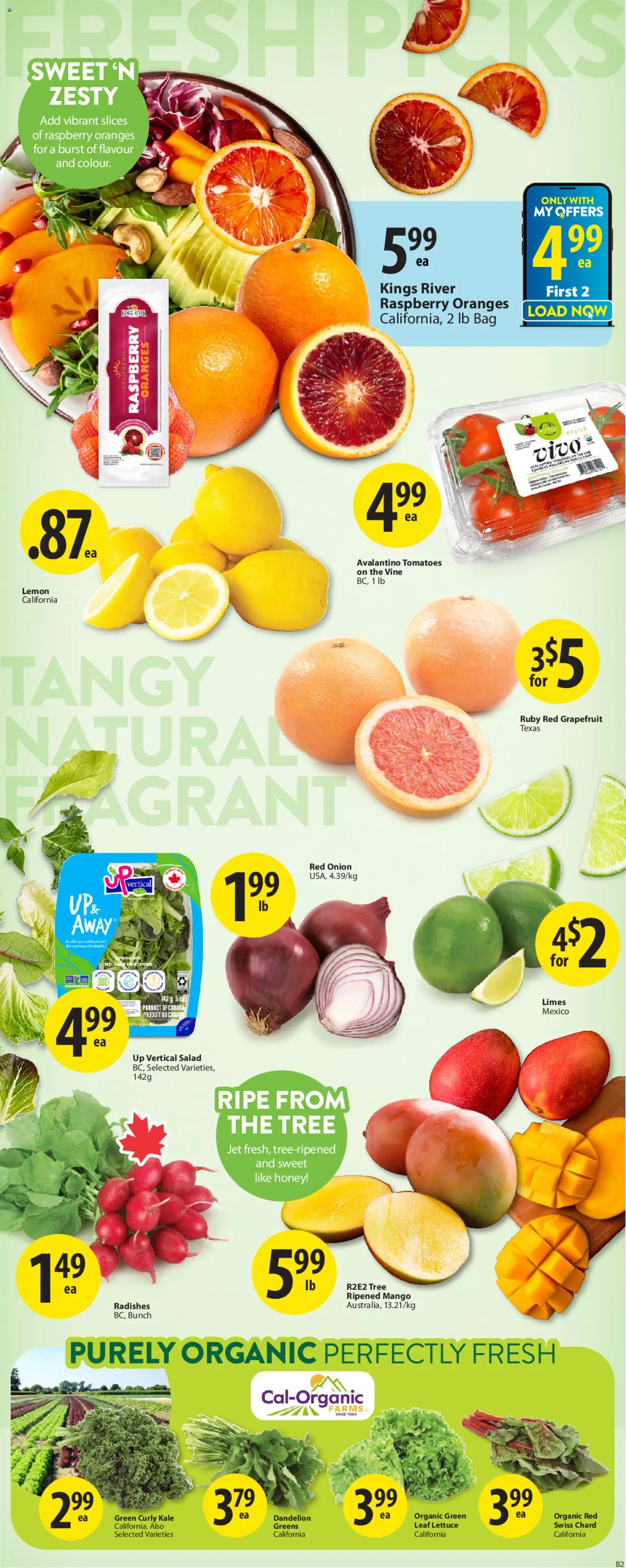 Save on foods flyer valid from 01.01.2026 | Page: 3 | Products: Salad, Bag, Oranges, Tomatoes