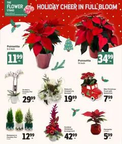 Preview of Quality Foods weekly flyer / circulaire from shop Quality Foods valid from 11.12.2025 | Page: 3