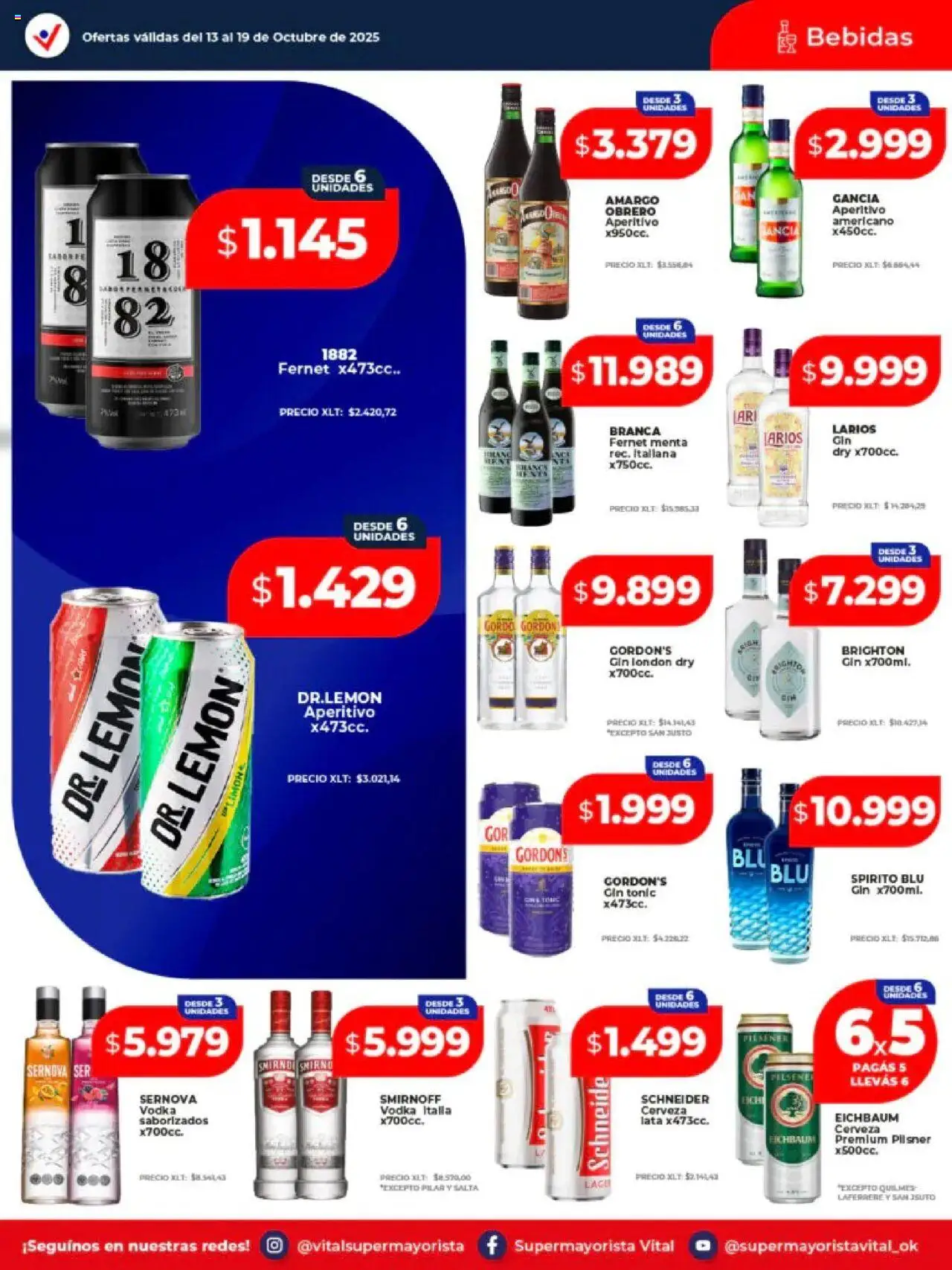Vital - Ofertas - Posadas │ válido desde el 13.10.2025 | Página: 24 | Productos: Vodka, Gin, Fernet, Cerveza