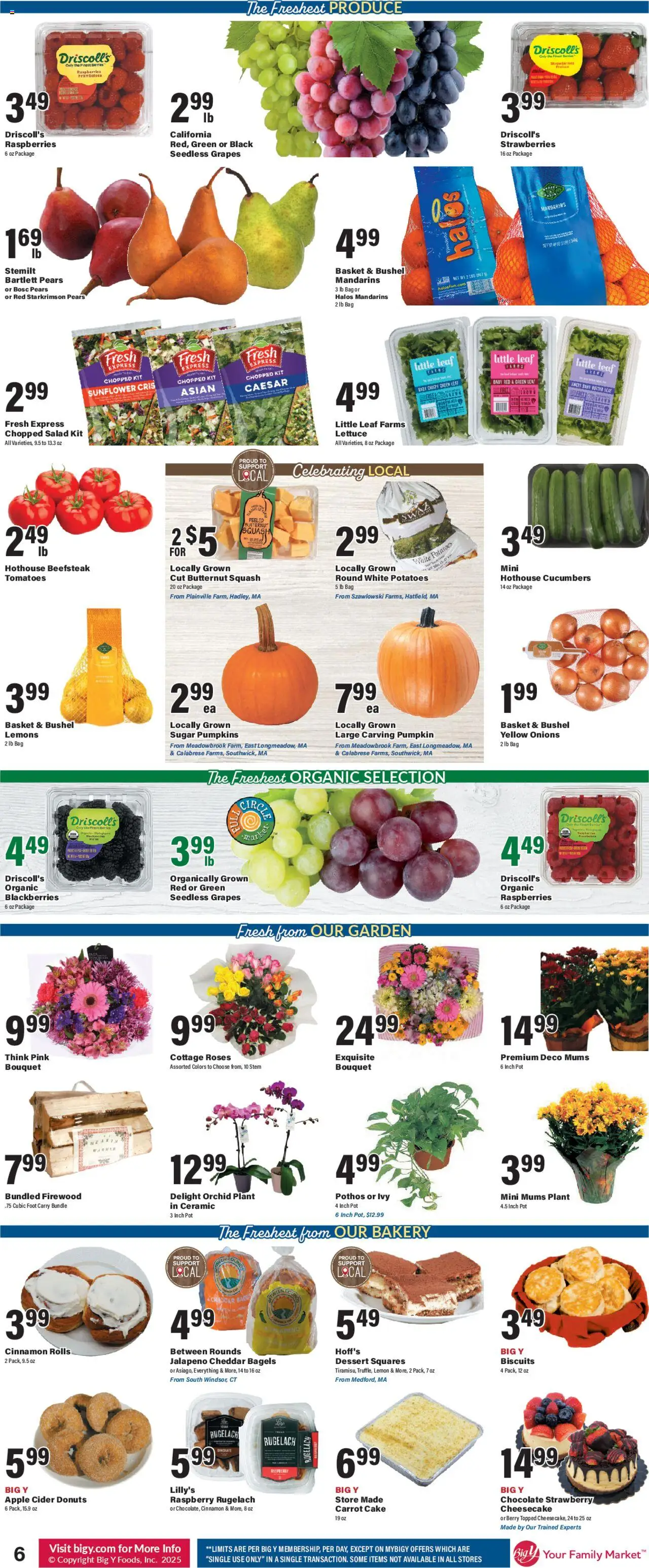Big Y Weekly Ad - valid from 02.10.2025 | Page: 10 | Products: Salad, Lemon, Pumpkin, Raspberry