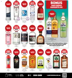 Harry Brown catalogue - valid from 10.09.2025 | Page: 9