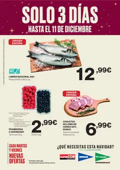 Vista previa de El Corte Inglés catálogo, nuevo folleto de la tienda, válido en México a partir del 09.12.2025