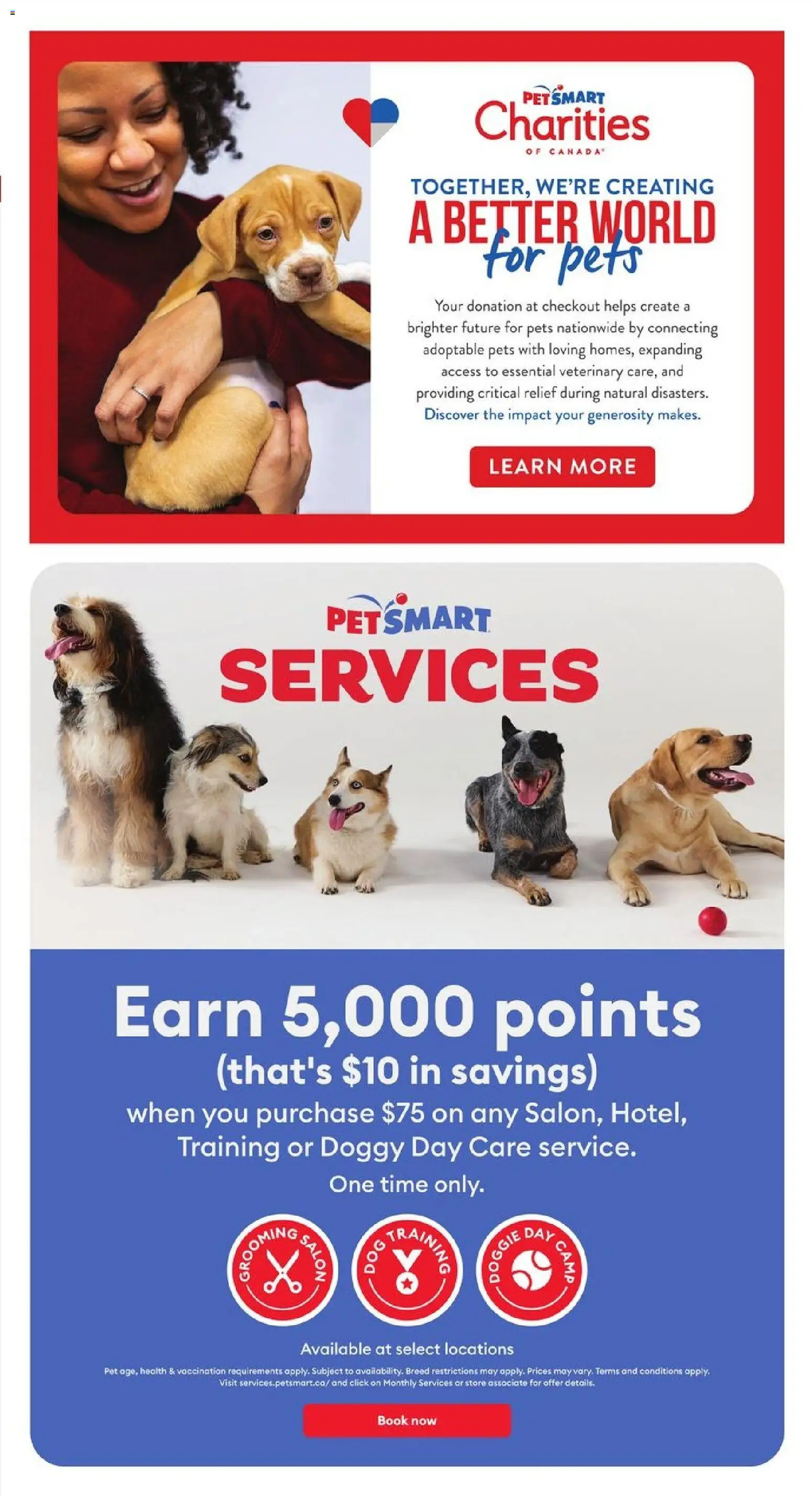 Petsmart flyer valid from 02.02.2026 | Page: 11