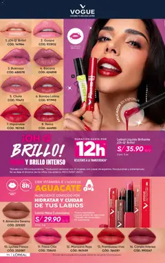 Vista previa de folleto Azzorti - Campaña C02/2026 de la Azzorti válido desde 15.12.2025 | Página: 177 | Productos: Esponja, Aceite