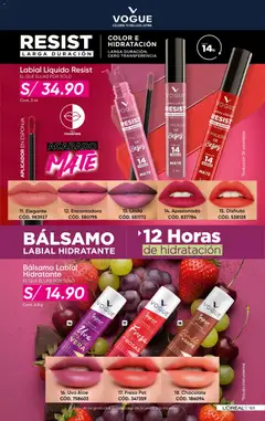 Vista previa de folleto Azzorti - Campaña C1/2026 de la Azzorti válido desde 24.11.2025 | Página: 165 | Productos: Esponja, Chocolate