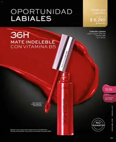 Catálogo L'Bel Campaña 5 válido desde el 01.03.2026 | Página: 33