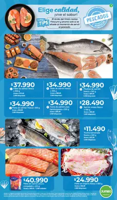 Jumbo - Catálogo -  Vista previa de la revista de la tienda Jumbo valido desde el 15.01.2026 | Página: 3