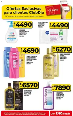 Vista previa Supermercado DIA Ofertas válido desde el 15.10.2025 | Página: 52