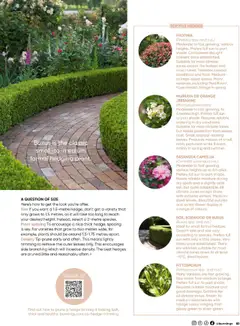 Bunnings Warehouse catalogue - valid from 01.09.2025 | Page: 83 | Products: Formal, Plant, Watch