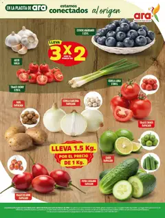 Ara - Ahorra con precios bajos y ofertas en la canasta familiar -  Vista previa de la revista de la tienda Ara valido desde el 29.01.2026