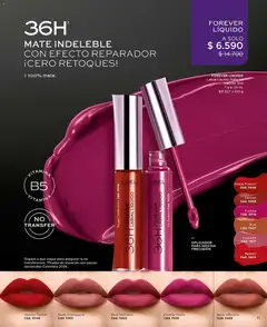 L'Bel Campaña 8 válido desde el 29.04.2026 | Página: 13