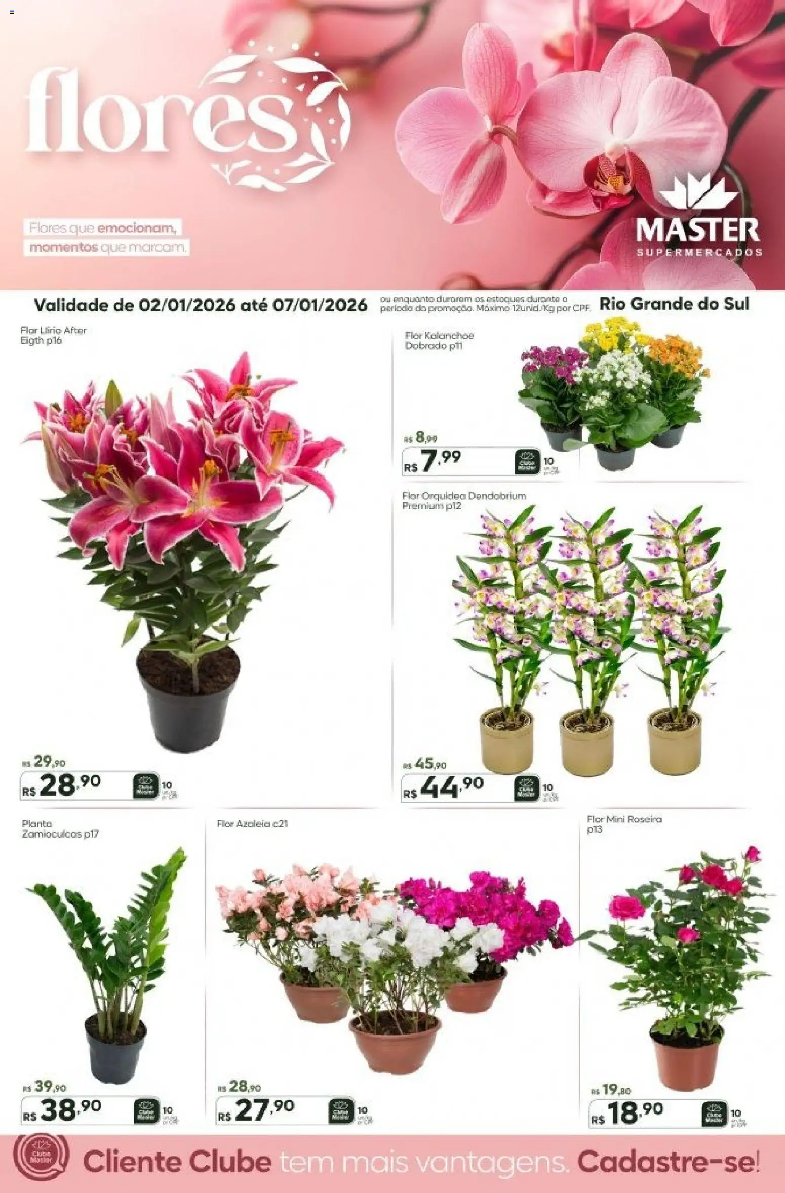 Master Folheto - válido de 02.01.2026 | Página: 1 | Produtos: Flores