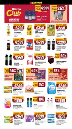 Vista previa Diarco ofertas válido desde el 15.12.2025 | Página: 10