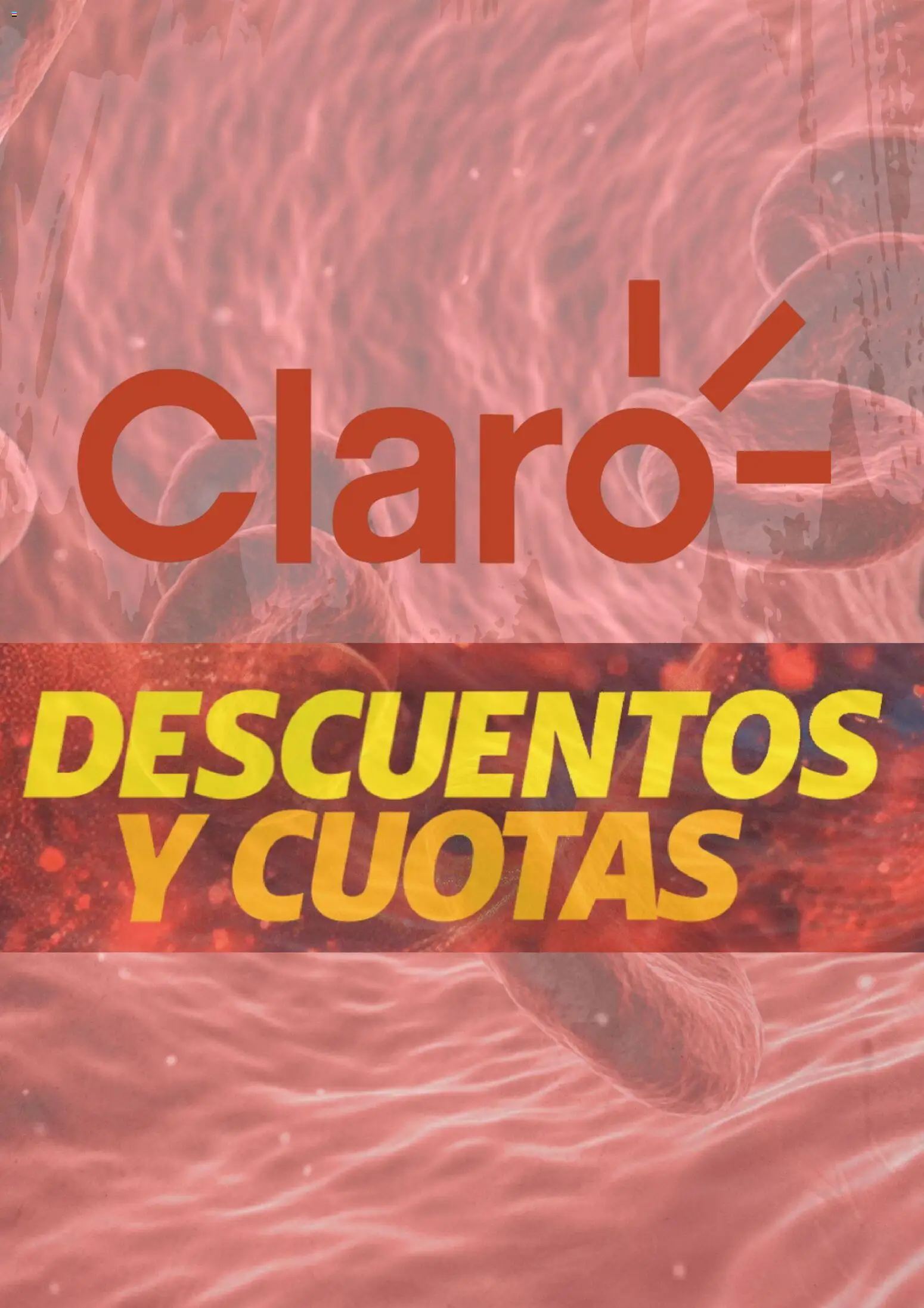 Claro catálogo │ válido desde el 16.11.2025 | Página: 1