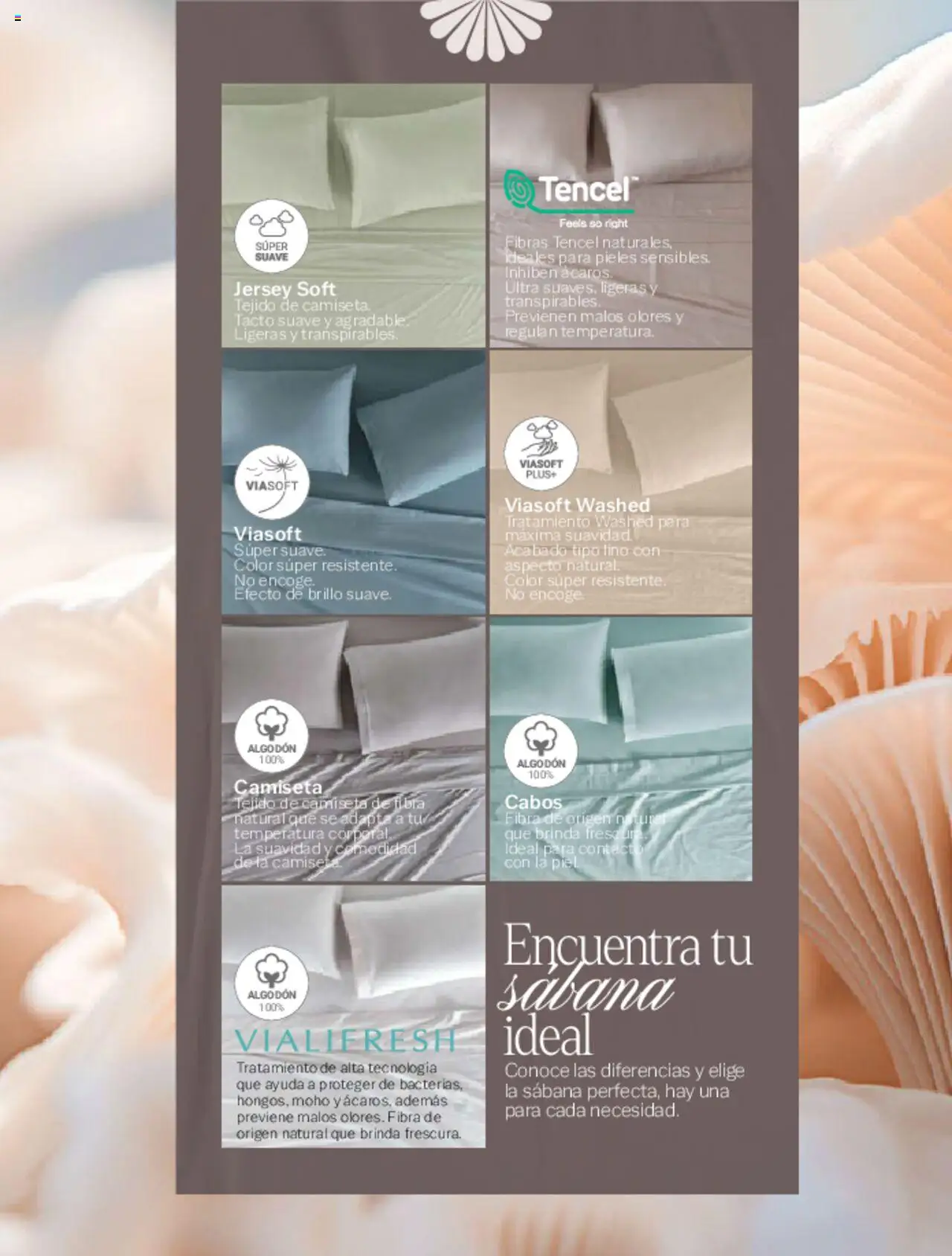 Nuevas ofertas de Vianney válidas en toda la República Mexicana desde el 07.03.2025. ¡Encuentra las mejores ofertas en Vianney catálogo Primavera! | Página: 191 | Productos: Brillo, Algodón, Camiseta