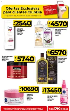 Supermercado DIA Ofertas - Salta y Jujuy │ válido desde el 20.08.2025 | Página: 52