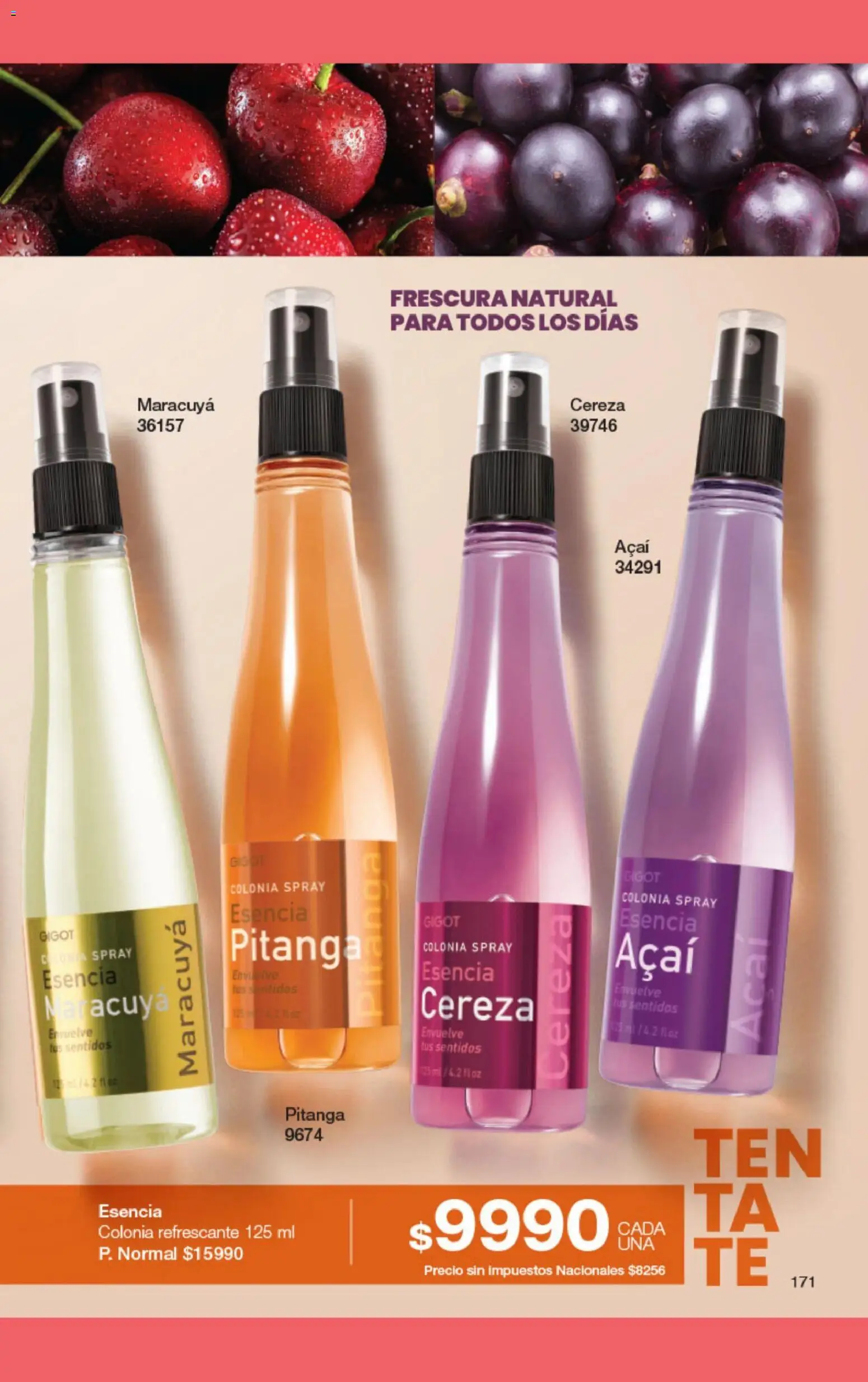 Gigot catálogo 02 │ válido desde el 01.02.2026 | Página: 177