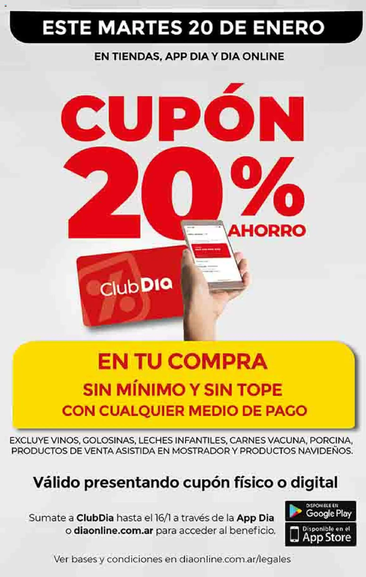 Dia - Ofertas - Salta y Jujuy │ válido desde el 14.01.2026 | Página: 21
