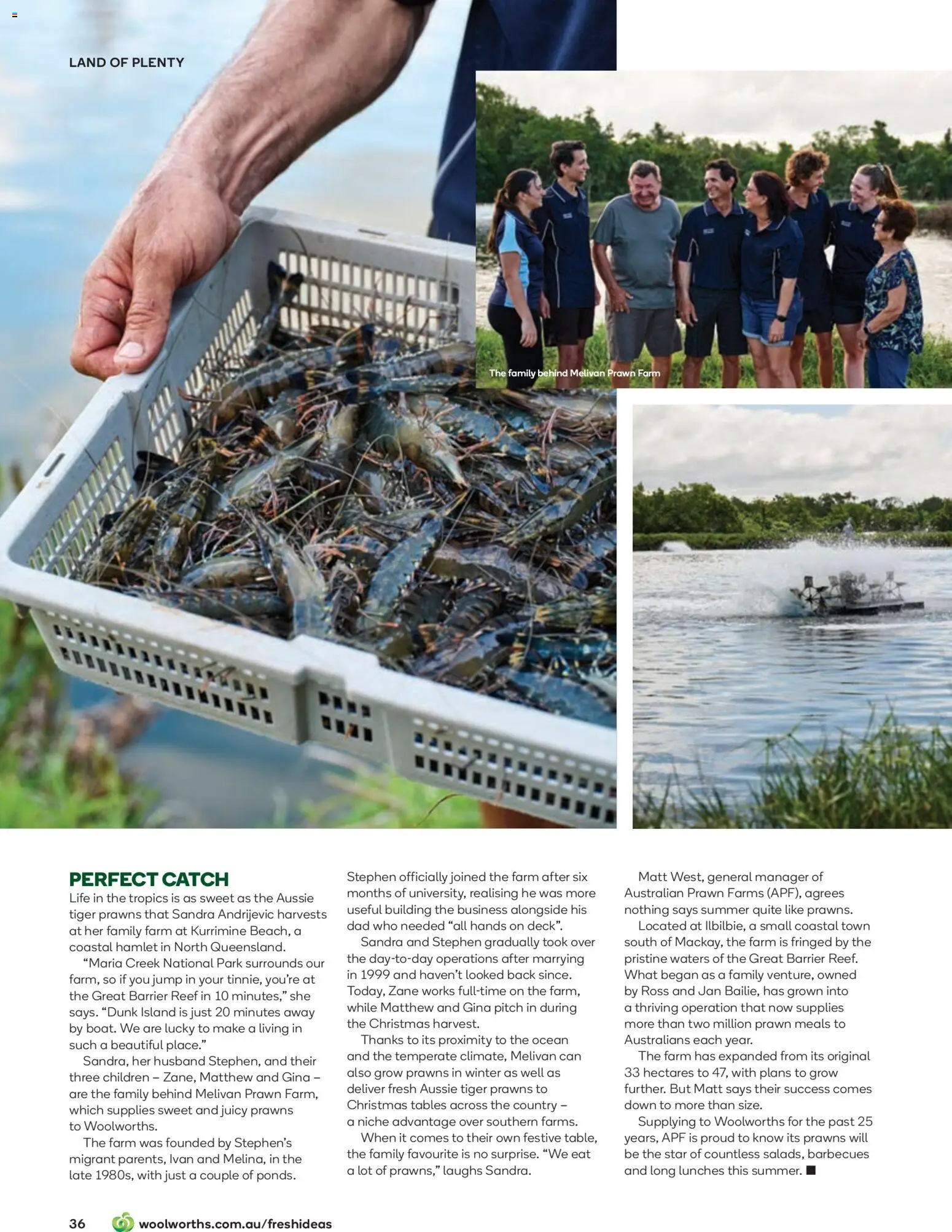 Woolworths catalogue - valid from 01.12.2025 | Page: 36 | Products: Prawns