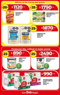 Supermercado DIA Ofertas │ válido desde el 27.08.2025 | Página: 11