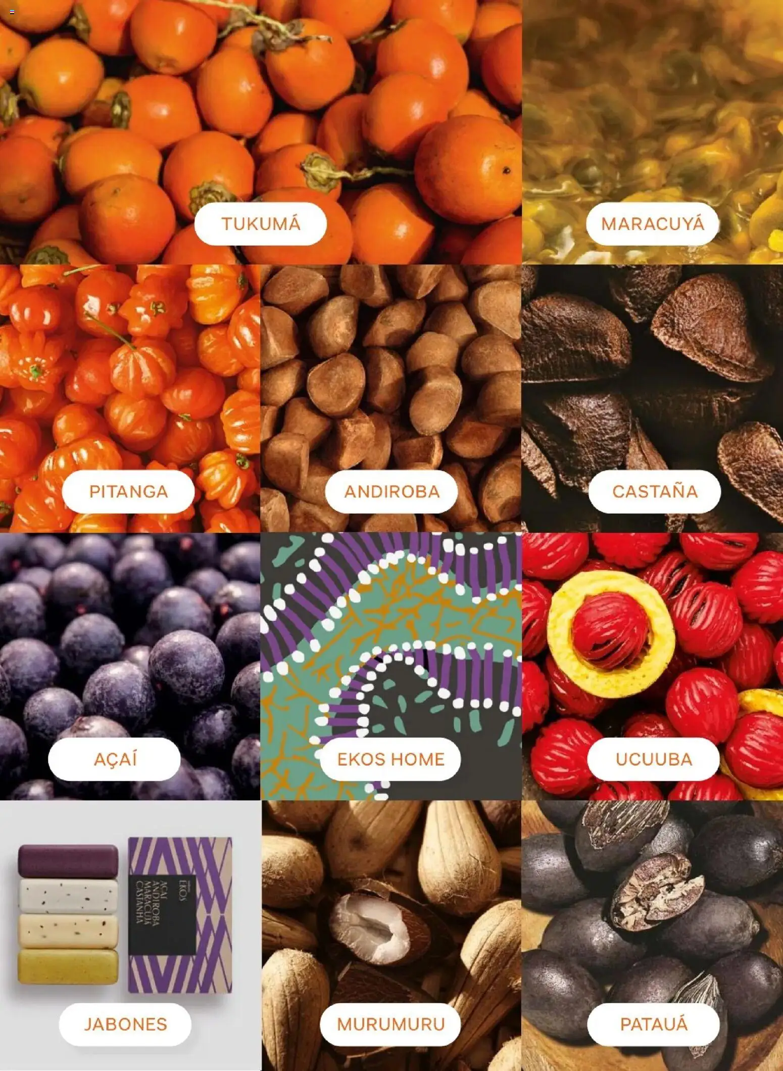 Catálogo Natura válido desde 20.02.2026 | Página: 95