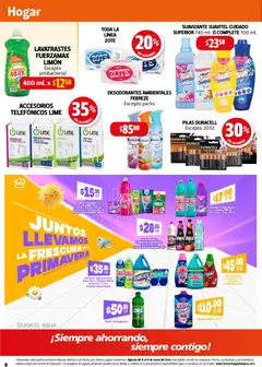 Vista previa de Farmacia Guadalajara catálogo, nuevo folleto de la tienda, válido en México a partir del 15.03.2026 | Página: 8