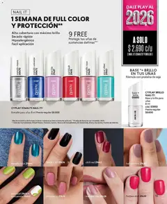 Catálogo CyZone Campaña 1 válido desde el 01.01.2026 | Página: 13