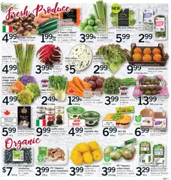 Preview of Fortinos weekly flyer / circulaire from shop Fortinos valid from 18.12.2025 | Page: 8