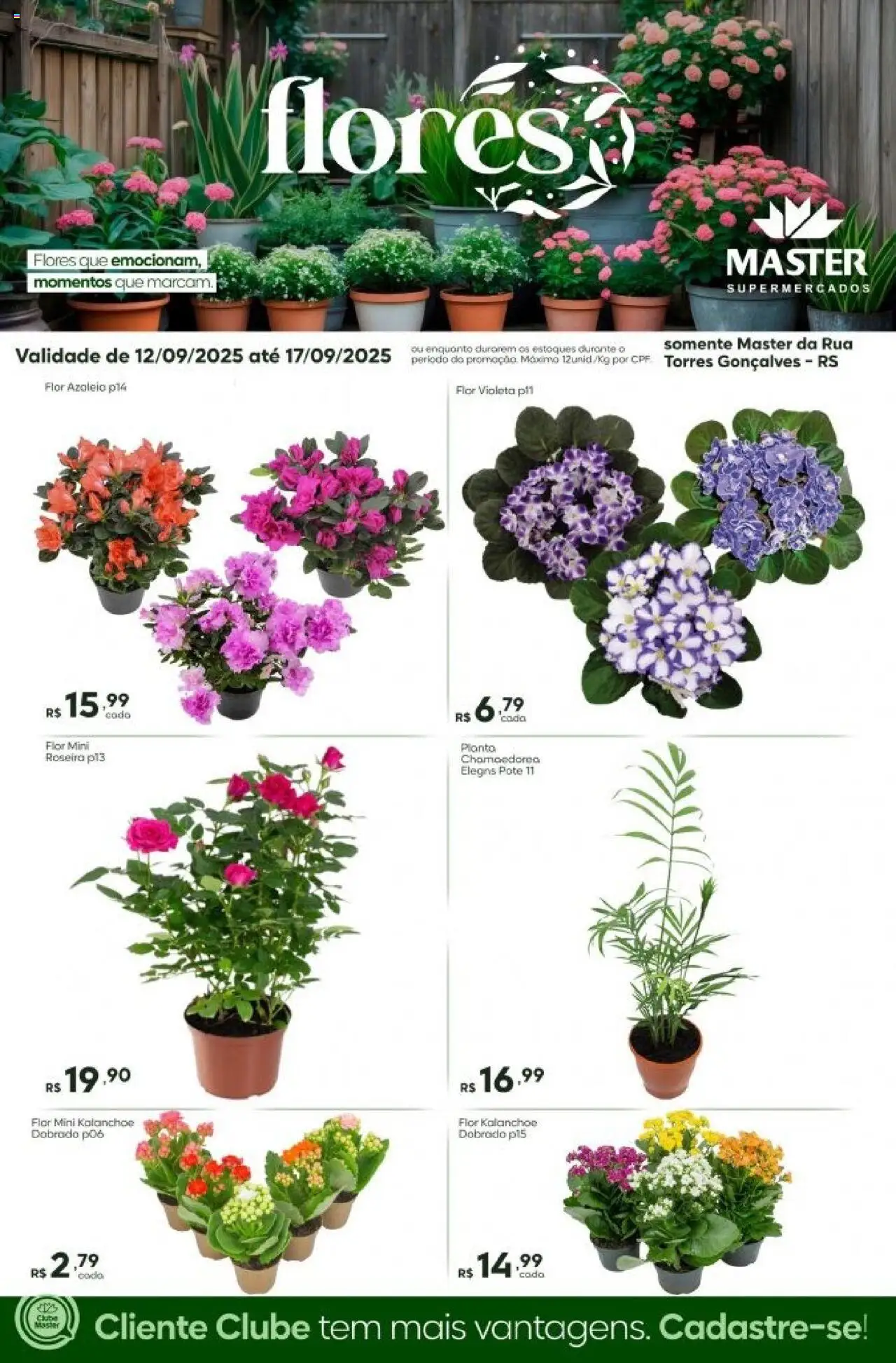 Master Folheto - válido de 12.09.2025 | Página: 1 | Produtos: Flores